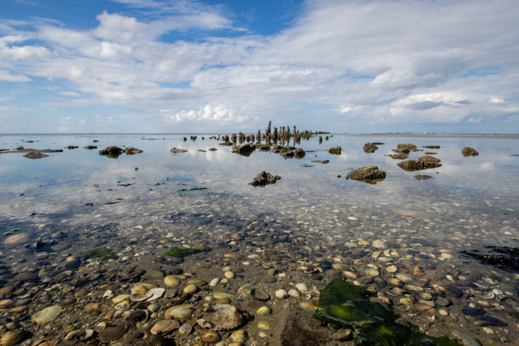 _MG_7536.jpg