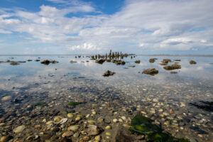 Waddenzee